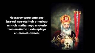 Nisavev tiro (for Pope Shenouda) (By Malak Rizkalla)