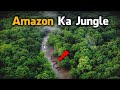 Most Dangerous Animals Of Amazon Rainforest Strange Facts About Amazon Rainforest Hindi Urdu