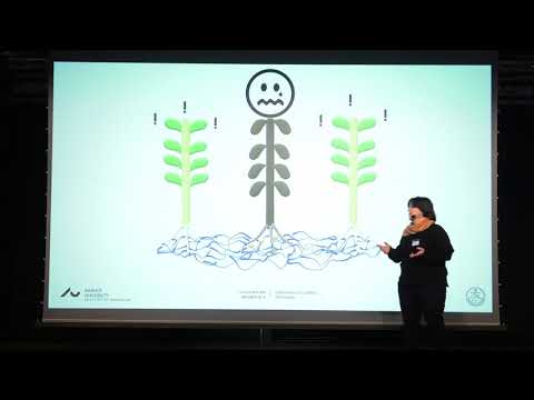 3 Minute Thesis - Plants and their biological phone lines: let's talk about warfare!