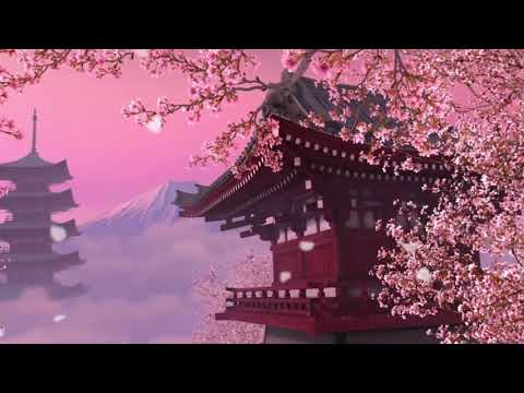 Japanese Cherry Blossom   Meditation   Relaxation   Deep Sleep Music