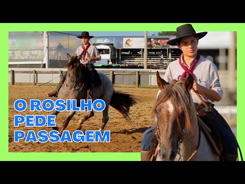 A aposta da CALA BASSA no Freio de Ouro