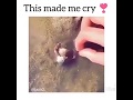 This Made Me Cry Cry
