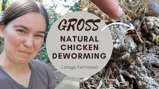 Worms in chicken poop GROSS! | How naturally deworm chickens
