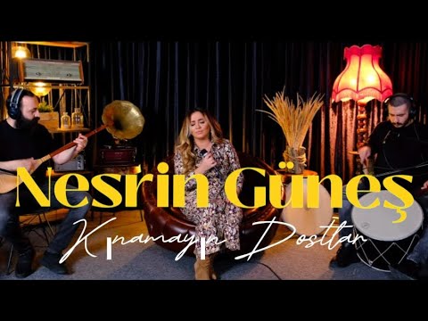 Nesrin Güneş - Kınamayın Dostlar