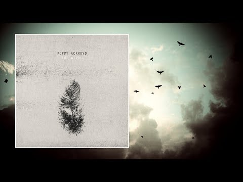 download lagu mp3 mp4 Poppy Ackroyd, download lagu Poppy Ackroyd gratis, unduh video klip Poppy Ackroyd