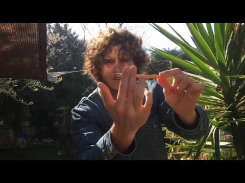 Pen2Pen by Olivier Pont