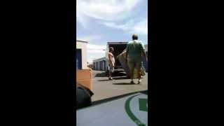 GO HIPPIE ELSEWHERE MOVING