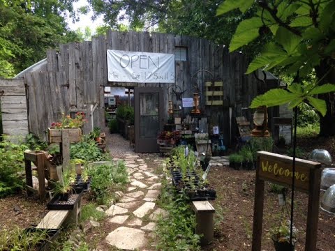 Build a Greenhouse for under $50