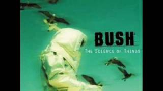 The Chemicals Between Us - Bush