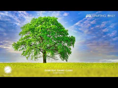 Evebe feat.  Danny Claire - Everything (Dub Mix)  [As played on Uplifting Only 376]