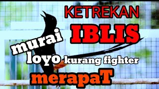 Download lagu KETREKAN PEMBAKAR EMOSI MURAI √√ pancingan emosi murai malas bunyi mp3 Download lagu KETREKAN PEMBAKAR EMOSI MURAI √√ pancingan emosi murai malas bunyi mp3