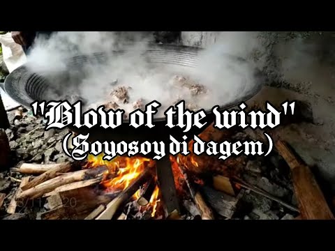 BLOW OF THE WIND (SOYOSOY DI DAGEM ENGLISH VERSION) - AMPALAYA BLOOM