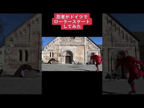 ヨーロッパブッポウソウ (Coracias garrulus)