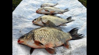 Рыбалка червяное в свердловской области