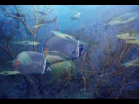 Paul Miller Pres. Meli - Aeon Flux (Original Mix)