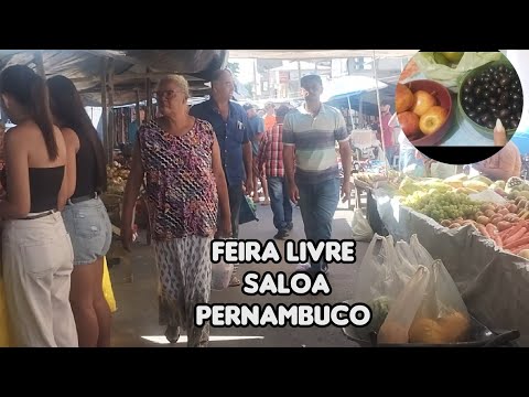 FEIRA LIVRE SALOÁ PERNAMBUCO 😀 A FEIRA MAIS MOVIMENTADA, GANHEI PRESENTE 🎁