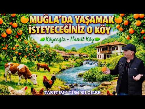Köyceğiz Hamitköy 🌿 Portakal Bahçeleri & Namnam Çayı Kenarında Doğal Köy Hayatı