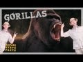 4 Fun Facts About Gorillas With Safari Steve | Heavy Petting Originals