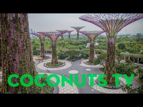 Gardens by the Bay: Avatar comes to Sing