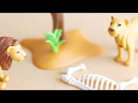 Playmobil Safari Truck with Lions Wild Life - Toys For Kids Video