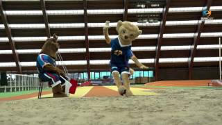 Olympic Holidays - Athletics Long jump