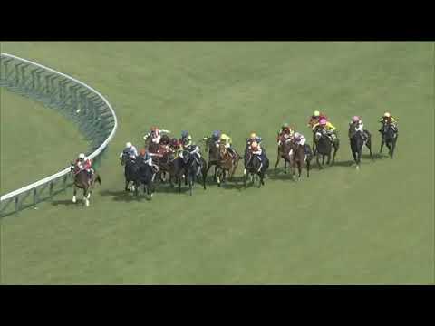 2022.04.10 Oka Sho (Japanese 1000 Guineas) - Stars on Earth