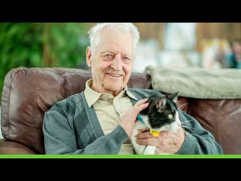 Aged Care Quality Standard 2 - The organisation