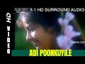 Adi Punguyile Aranmanai Kili Ilayaraja 5 1 Remastered Audio