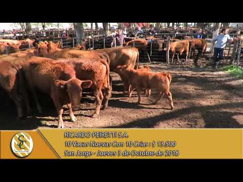 03-10-18 Venta de Vientres - Ricardo Peiretti S.A. - San Jorge