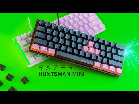 External Review Video 6T11qB9bPYk for Razer Huntsman Mini 60% Optical Gaming Keyboard