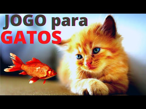 🐟JOGOS PARA gatos - Os Peixes Não Param e os Gatos Adoram