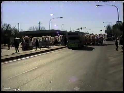 Woodland String Band "Toyland" - 1998 NYD