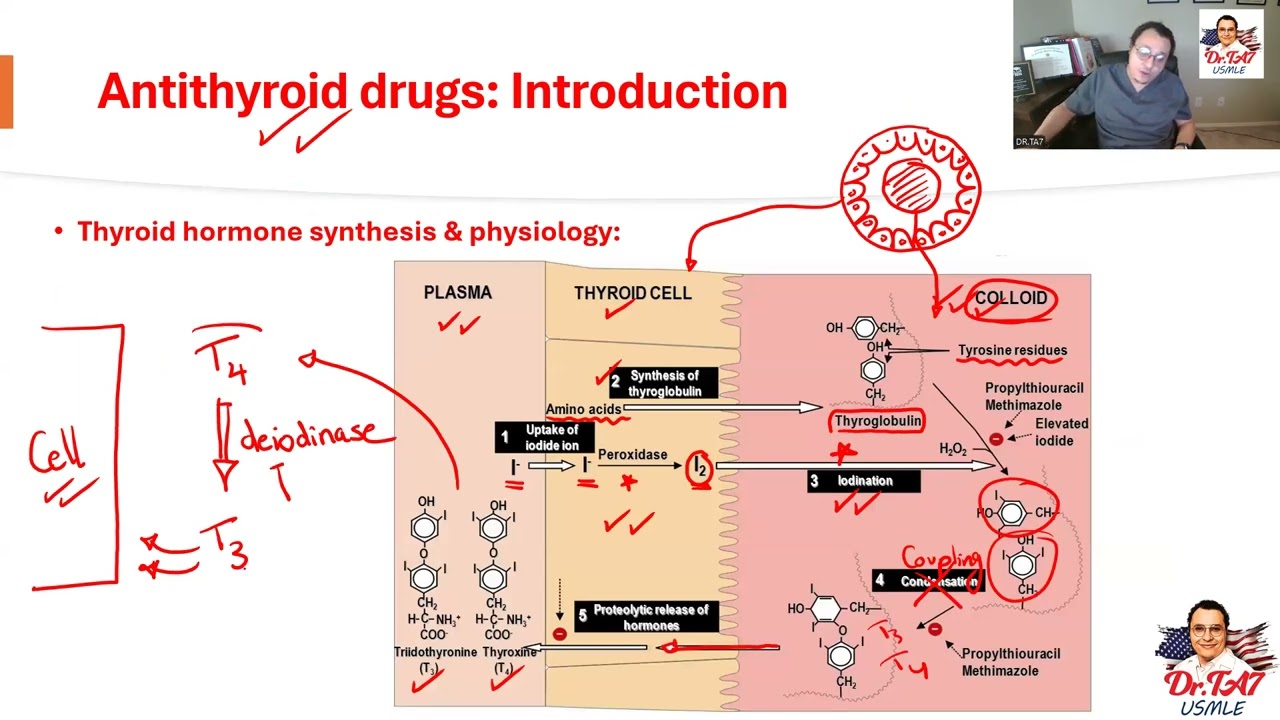 DR TA7: ENDOCRINE PHARMACOLOGY 3