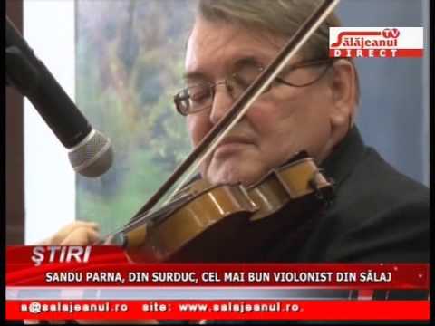 SANDU PARNA, DIN SURDUC, CEL MAI BUN VIOLONIST DIN SALAJ