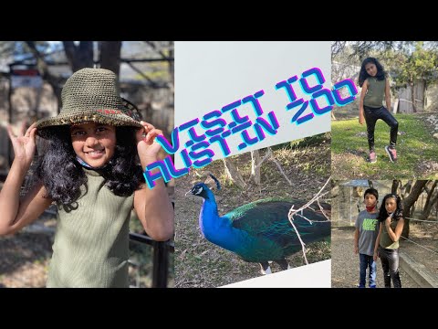 Visit to Austin ZOO | Fun Trip | Animals | Train Ride | Beautiful Peacocks