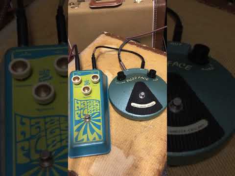 Isle of Tone Haze 69 Fuzz Fuzz Effect (2021), ser. #42. image 16