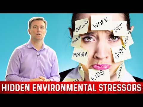 The Only Way to End Stress and Lower Cortisol