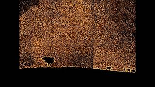 Music video thumbnail preview for Los Natas - Viento dorado by Los Natas