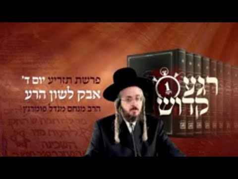 רגע קדוש מהאור החיים - פרשת תזריע יום ד'