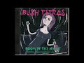 14-Bush Tetras -Funky [Instrumental]