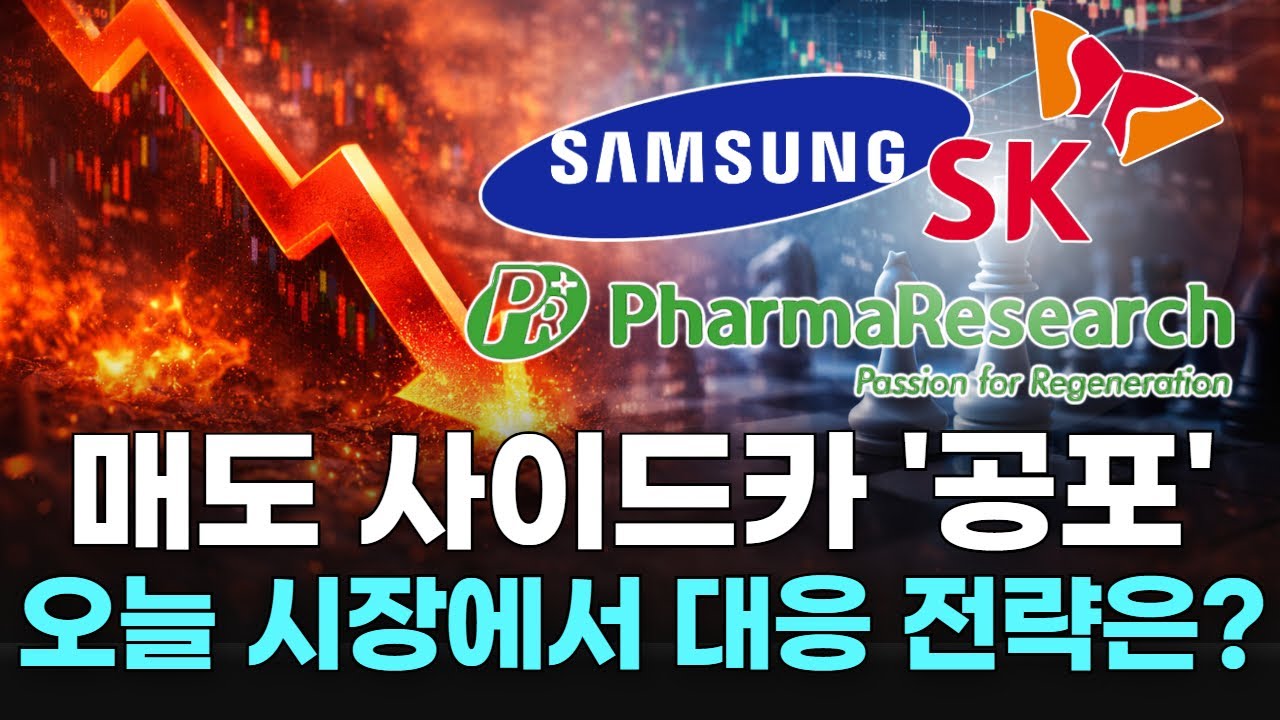 매도 사이드카 '공포' 오늘 시장에서 대응 전략은?