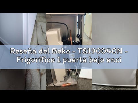 Reseña del Beko - TS190040N - Frigorífico 1 puerta bajo encimera. Cíclico