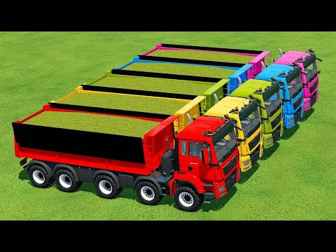 CUT SUNFLOWERS AND MAKE CHAFF WITH HOLMER FORAGE HARVESTER AND FENDT TRACTORS - Farming Simulator 22