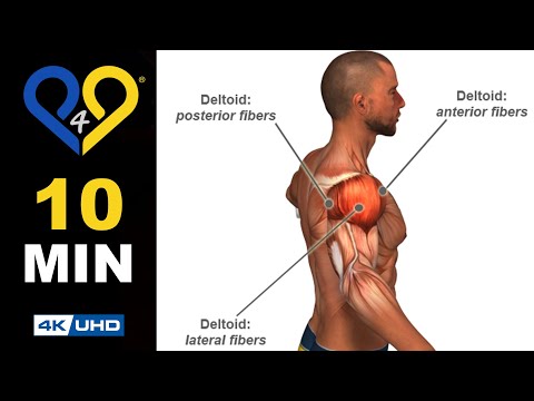 These 3 Dumbbell Moves Build Massive Shoulders Fast #p4p  #shoulderworkout