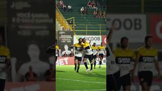 Para abrir o placar em Concórdia, Gui Lobo de muito longe marcar! 💪🐯 #criciúma #criciúmaec #futebol