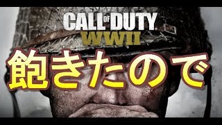 CODWW2　　飽きたので