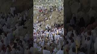 Saudi Arabia hosts millions of Muslim pilgrims at Mount Arafat for Hajj's holiest ritual