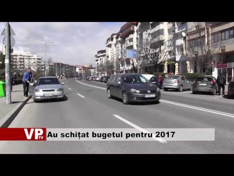 Au schițat bugetul pentru 2017