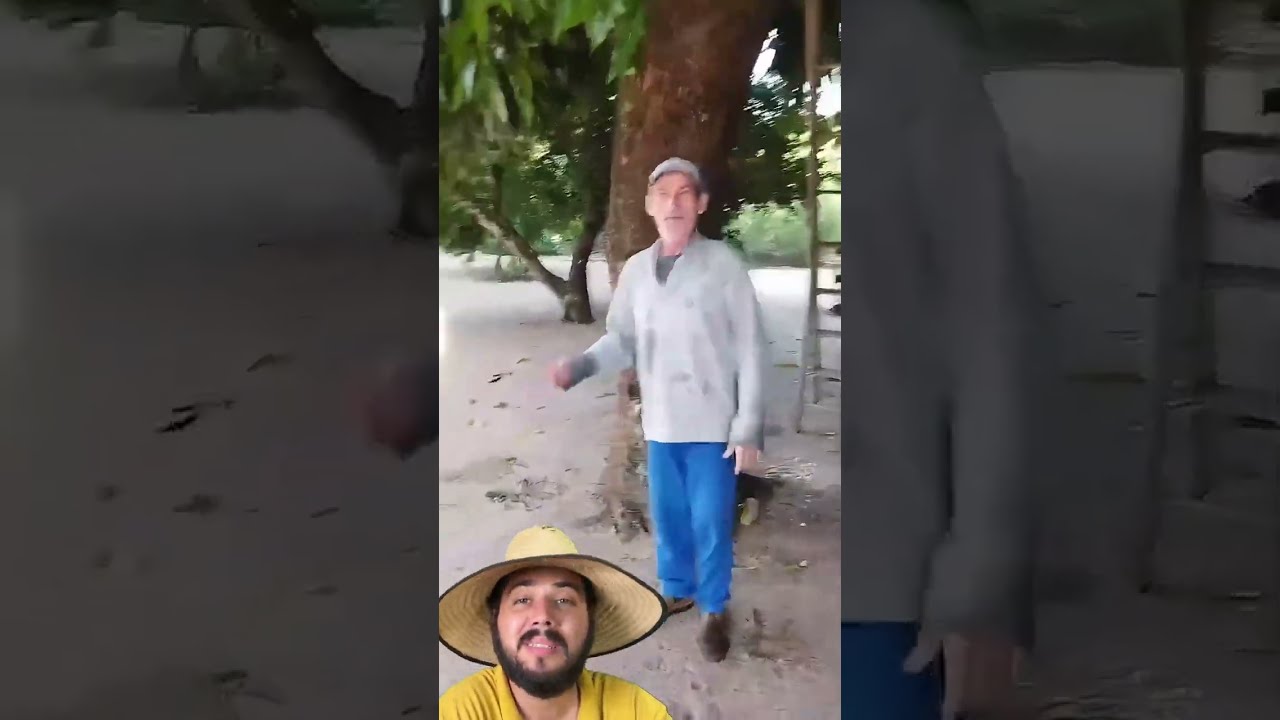 Video shows the caretaker who was caught by the jaguar, days before showing tracks of the animal ...