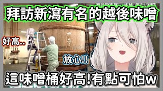 (拉麵交換上集)大獅跑到新瀉尋找拉麵的食材，努力克服恐懼爬上巨大味噌桶【獅白牡丹/hikakin】【hololive精華】